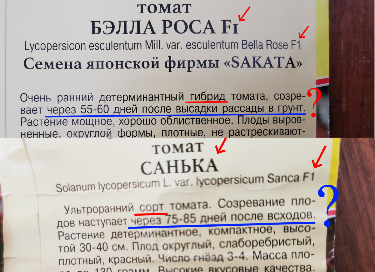 Сравнила аннотации к томатам Бэлла Роса и Санька. У Саньки, как и у всех, указан срок созревания ПОСЛЕ ВСХОДОВ. А у Бэллы Росы 0 после ВЫСАДКИ РАССАДЫ В ГРУНТ. Для чего? чтобы живее покупали? 