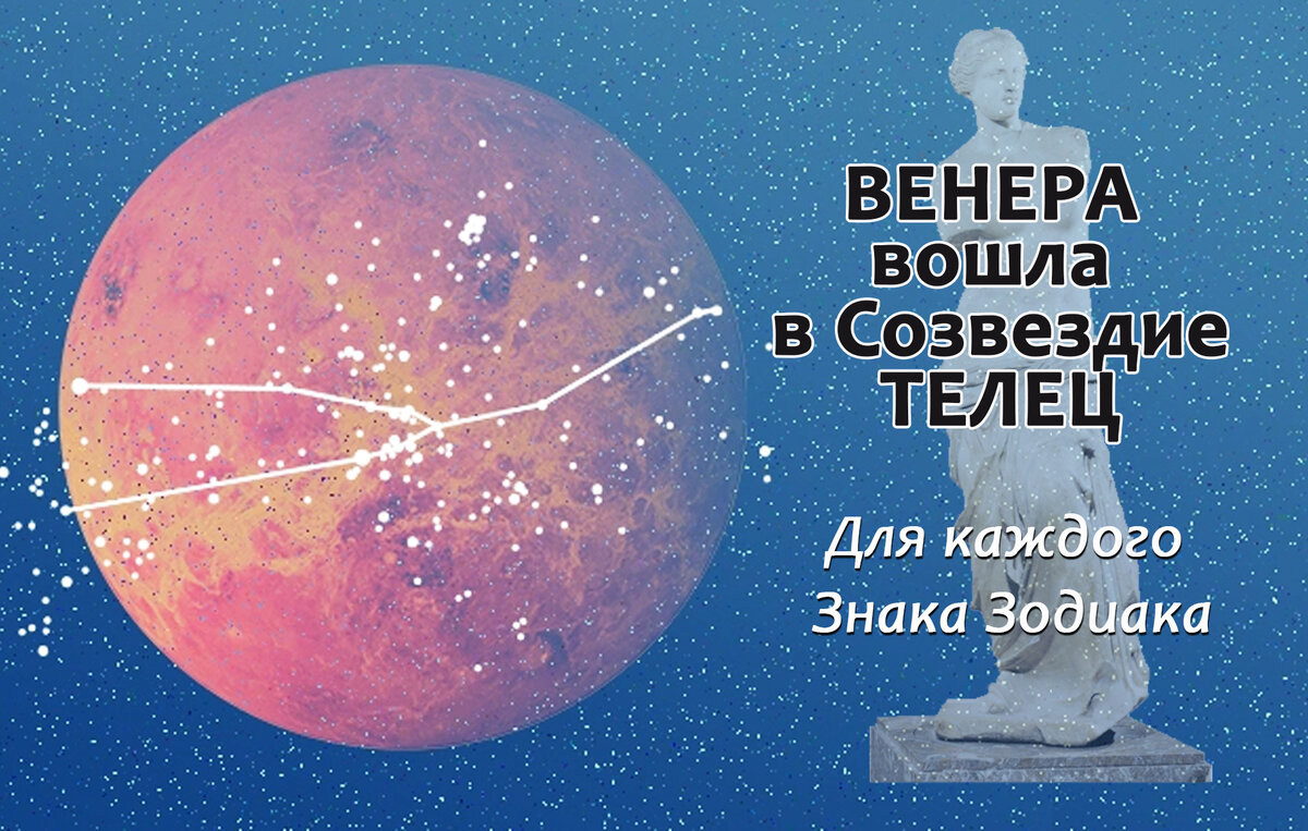 16 марта - 11 апреля ВЕНЕРА входит в созвездие Тельца. Что это означает для  каждого Знака Зодиака. | Удивительный зимородок | Дзен