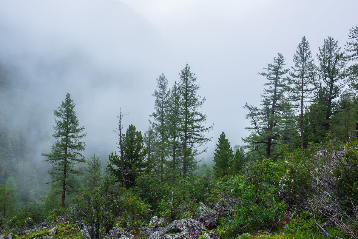   istockphoto/daniilphotos