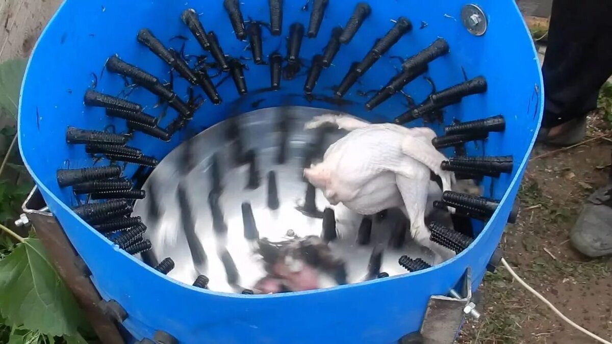 Картинка из свободного доступа