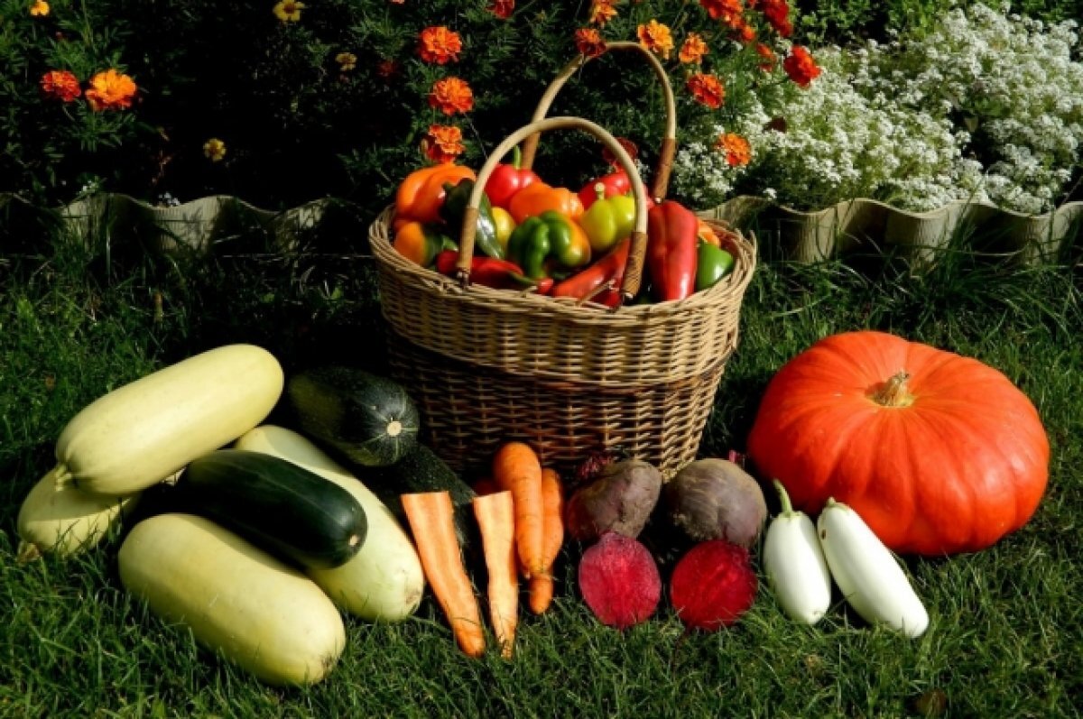    Ярмарка пройдёт в Чите 18 марта на двух точках