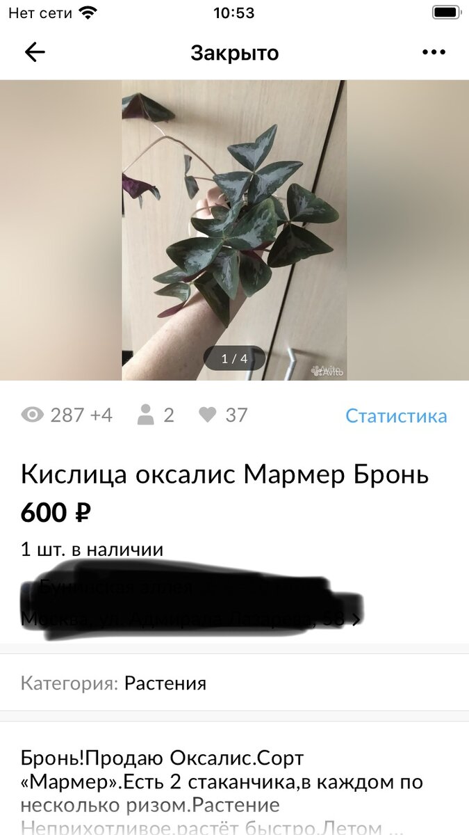 Мое объявление 