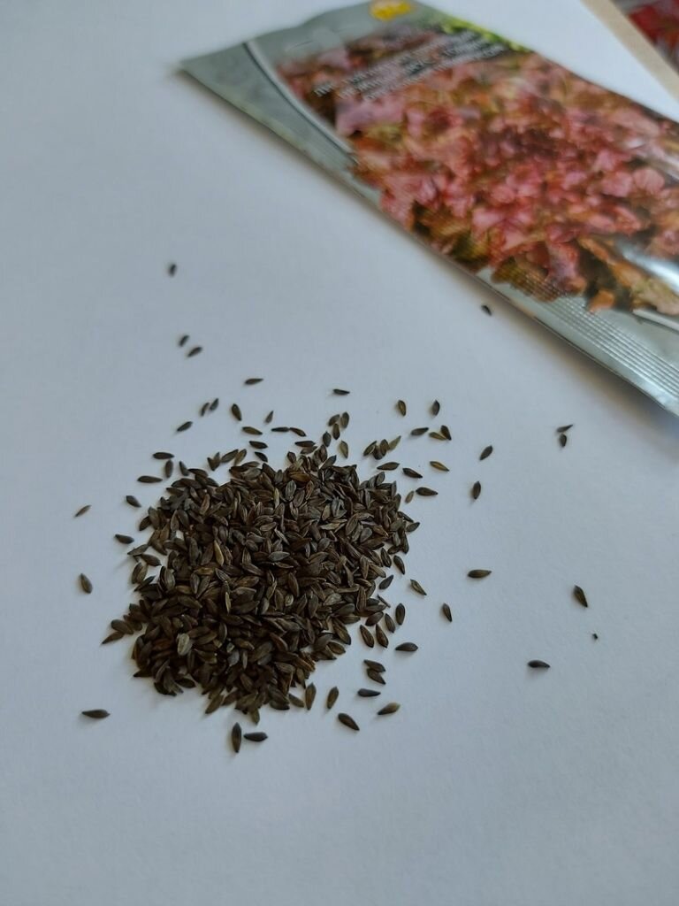    Содержимое упаковки