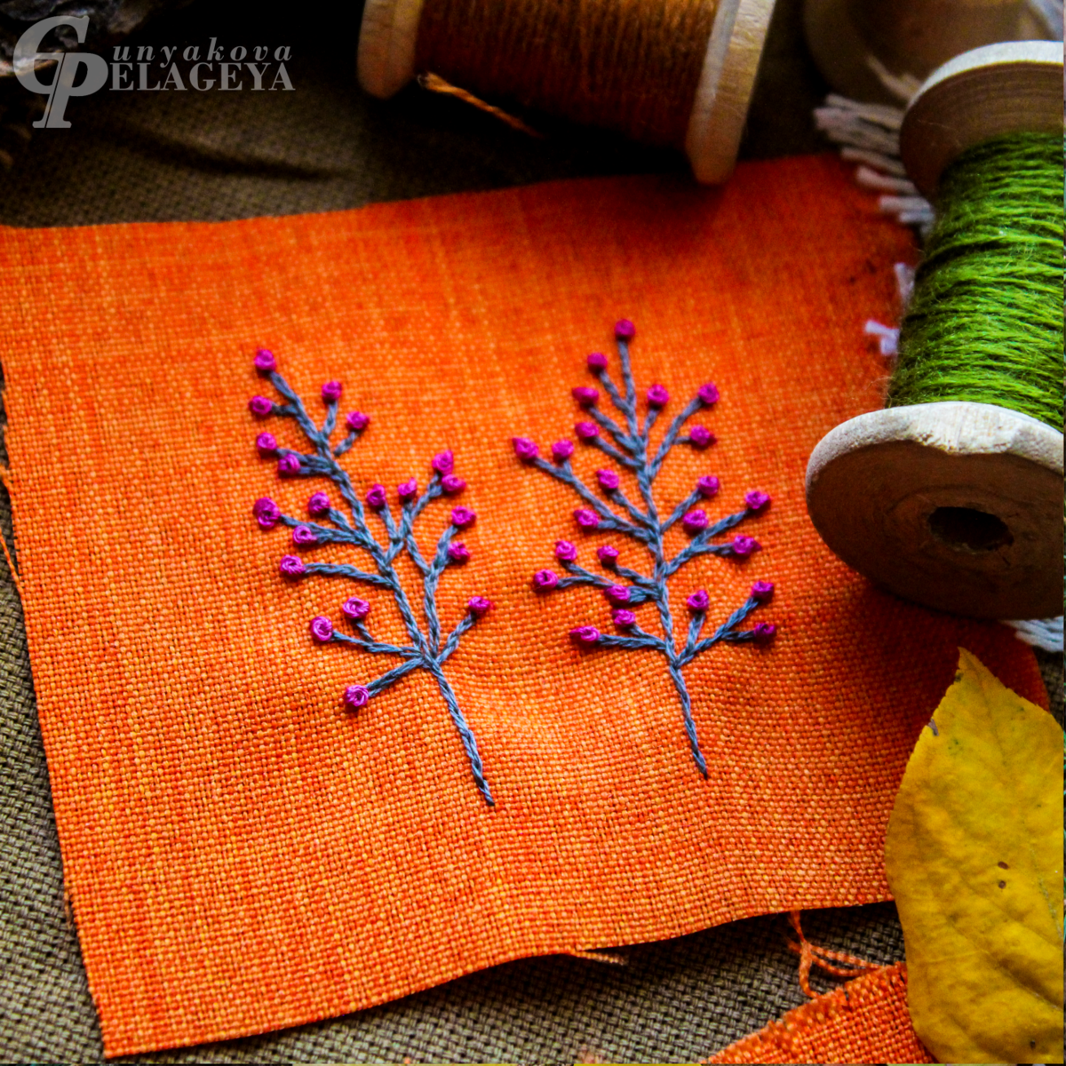 первая проба