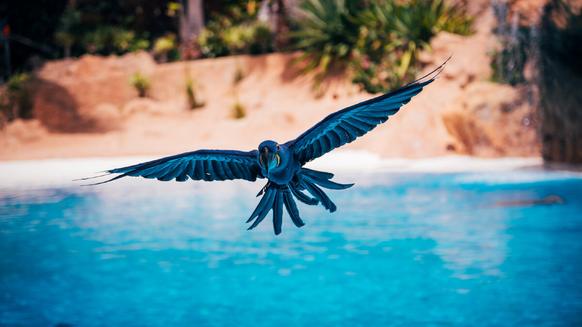 Photo by Kamil Molendys on Unsplash