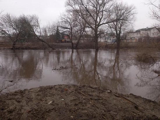     Фото: администрация Курска