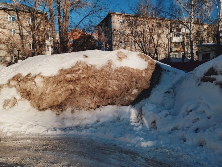    Фото: Елены Белоусовой