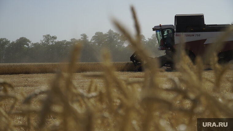    Мария Захарова подтвердила продление зерновой сделки на 60 дней