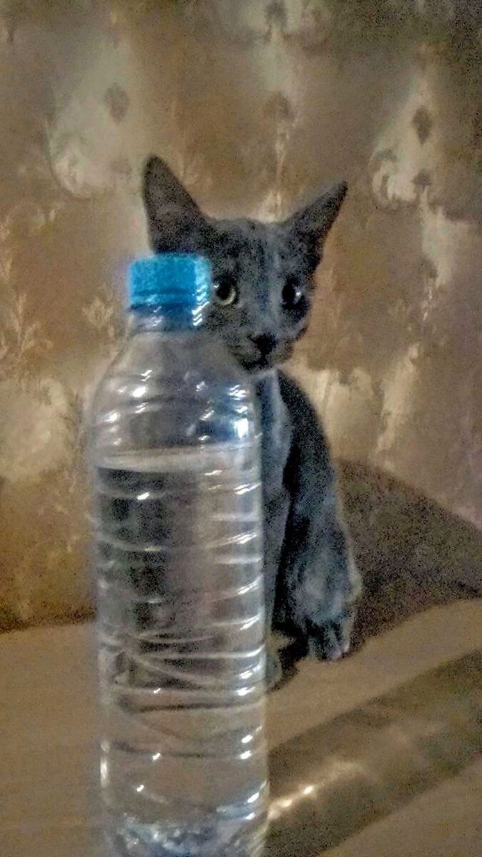 И снова Сильвер, наша заезда. Забронирован