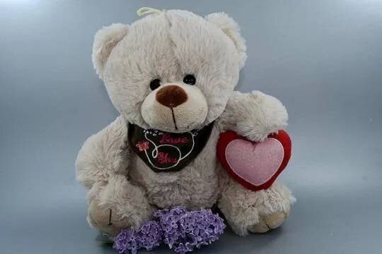    Россиянку лишили родительских прав в Испании после критики одной из лучших школ страны