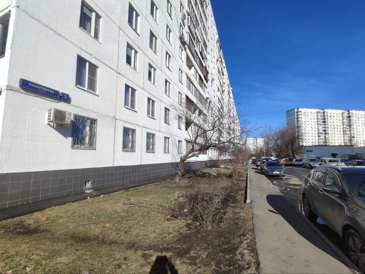 Фото: СВАО.Today