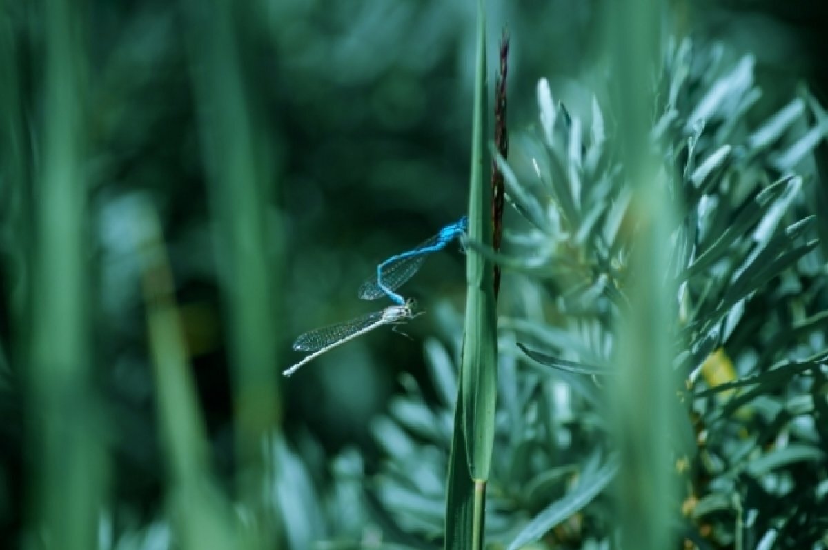    unsplash.com