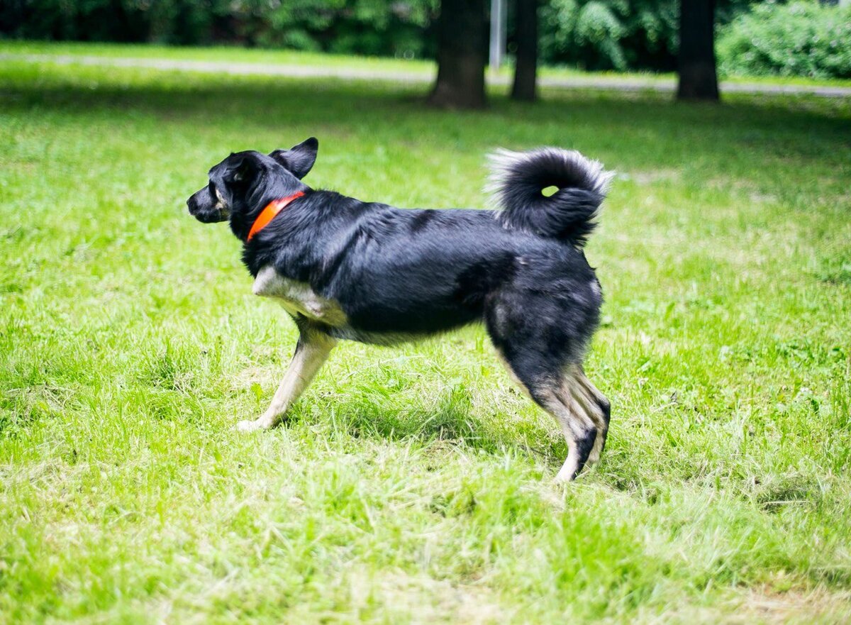 Аза на фотосессии