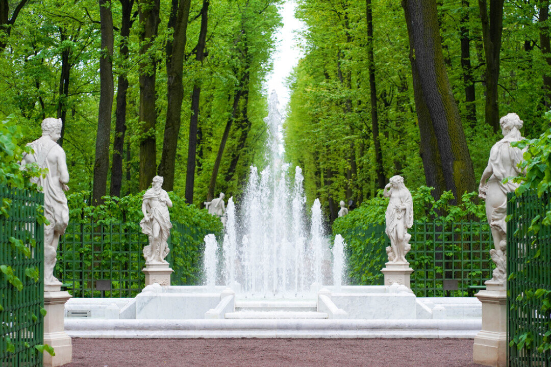    Фото: BestDeals / Shutterstock