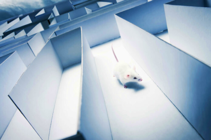 Источник: издание «Как и Почему»