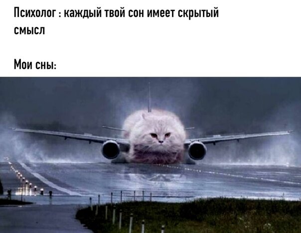 Источник: userapi.com