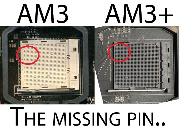 3 am 3 am videos. Распиновка am3 сокета. Сокет ам3 и ам3+. Socket am3+ процессоры. Socket am3+ и am3 совместимость.