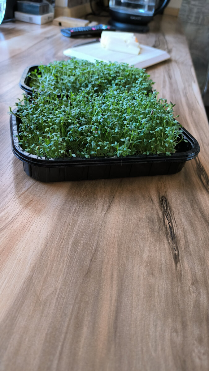 листайте галерею