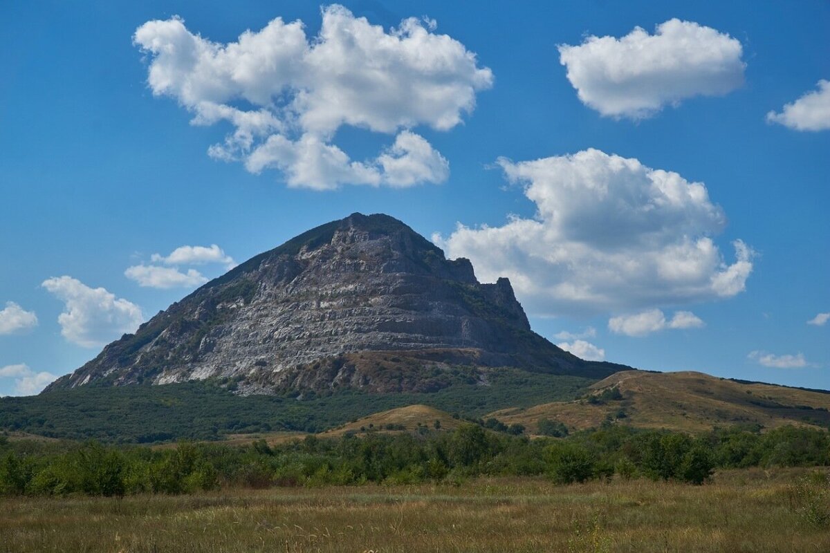 КМВ змейка