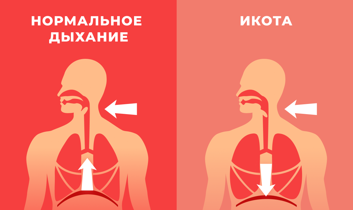 Источник: petshop-vrn.ru
