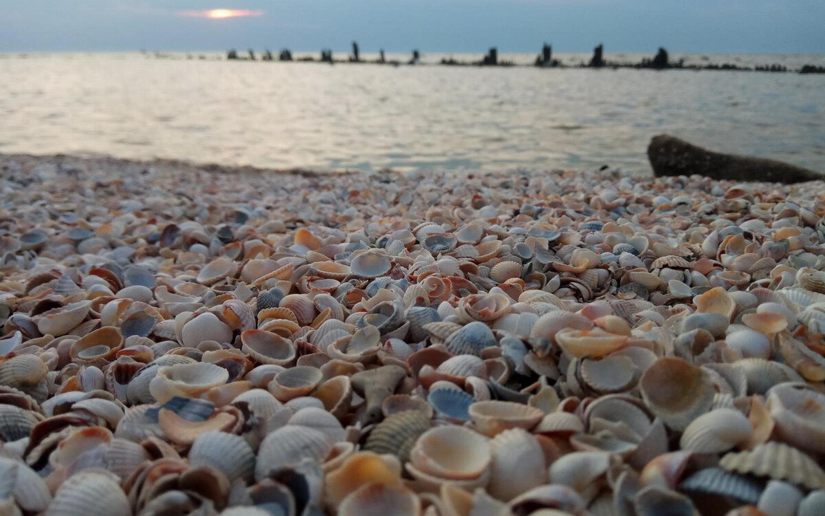 Ейск море. Пляж Каменка 2021. Ейск море в сентябре. Отдых в Ейске в сентябре фото. Ейск в сентябре в этом году.