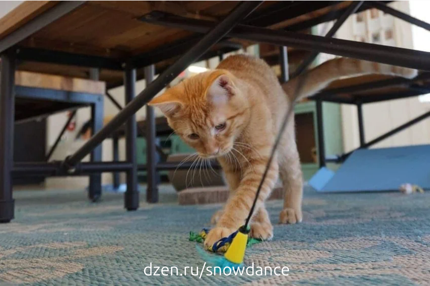 Преследование и перехват объектов