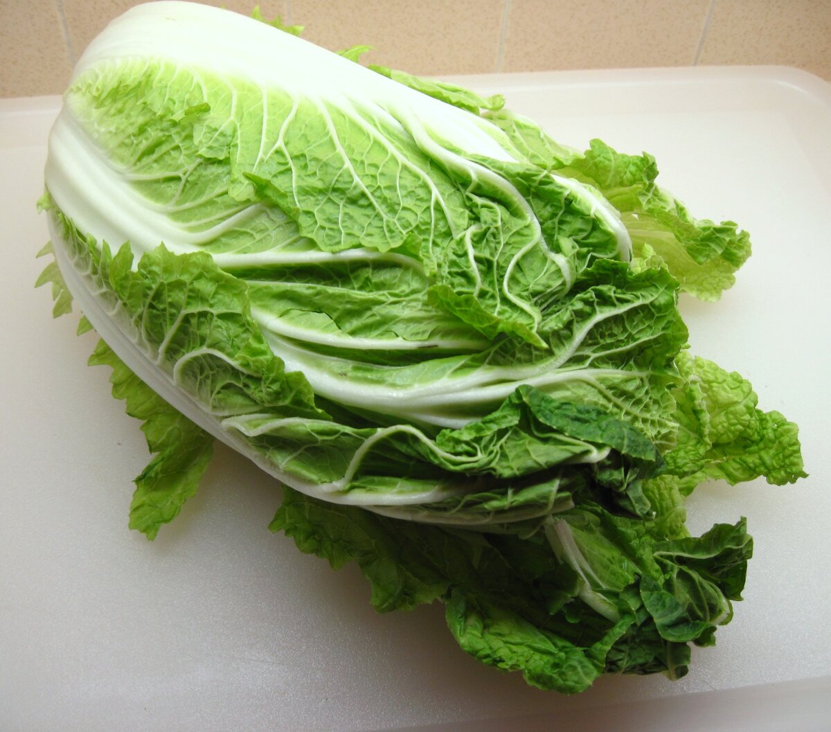 Картинка взята с сайта yandex.ru