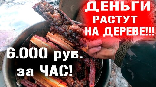 КАК ЗАРАБОТАТЬ НА СЕРЕ??? ОТ 6000р. ЗА ЧАС!!!