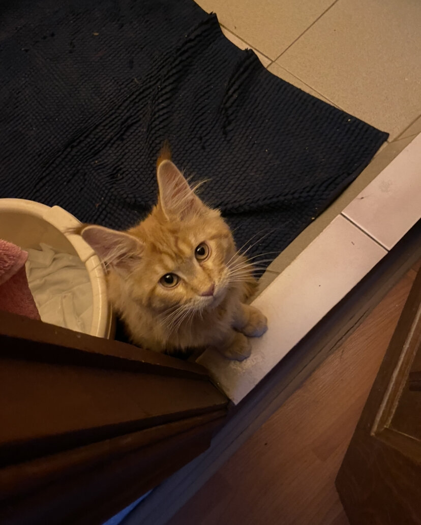 Совсем маленькая 