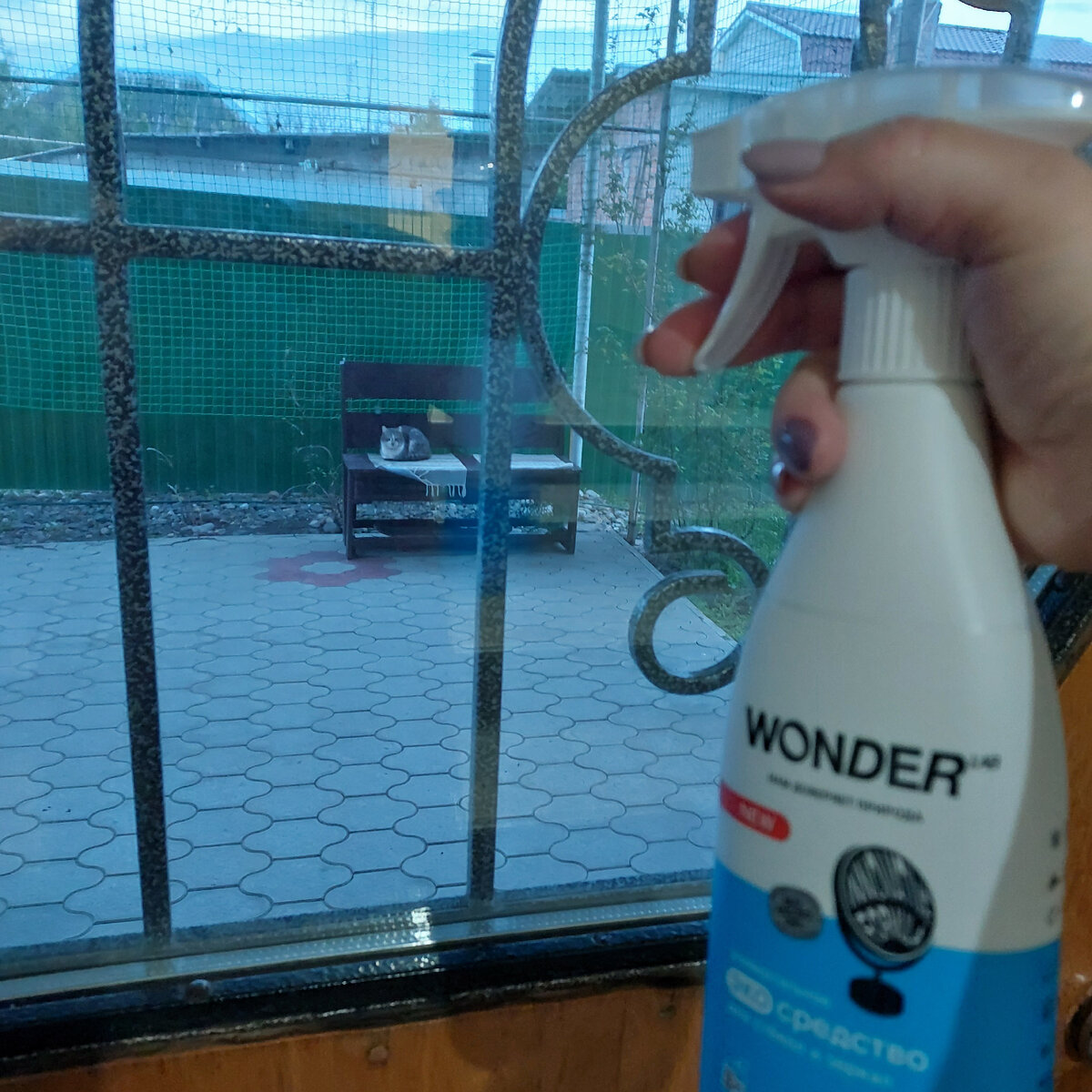 Стекло на входной двери постоянно залапано)))