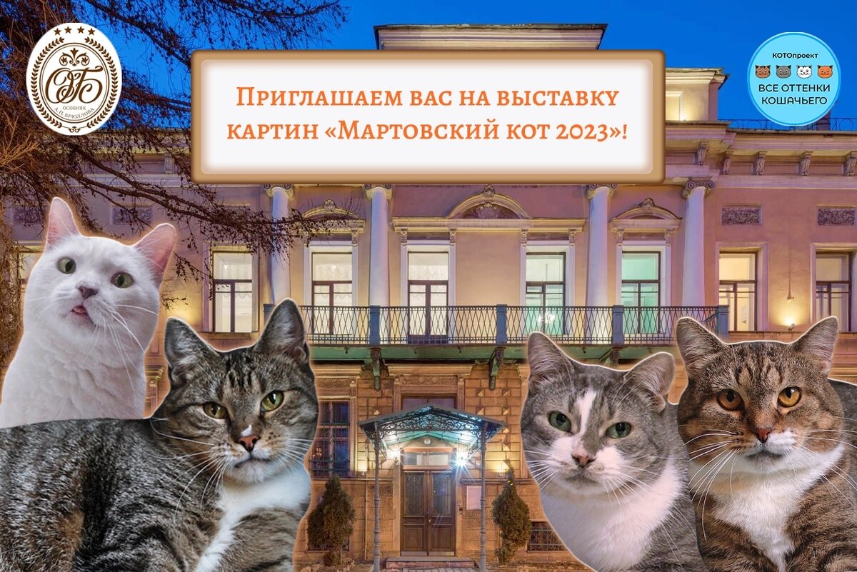 © ВСЕ ОТТЕНКИ КОШАЧЬЕГО 