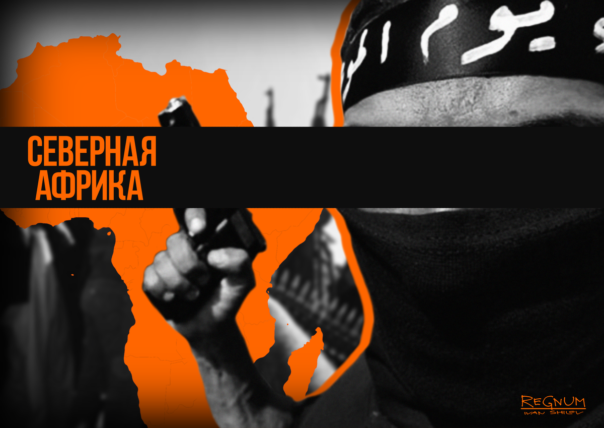    Северная Африка Иван Шилов (c) ИА REGNUM
