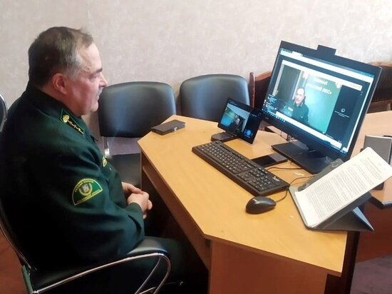     Фото из официального аккаунта филиала «Русский лес» в сети «ВКонтакте»