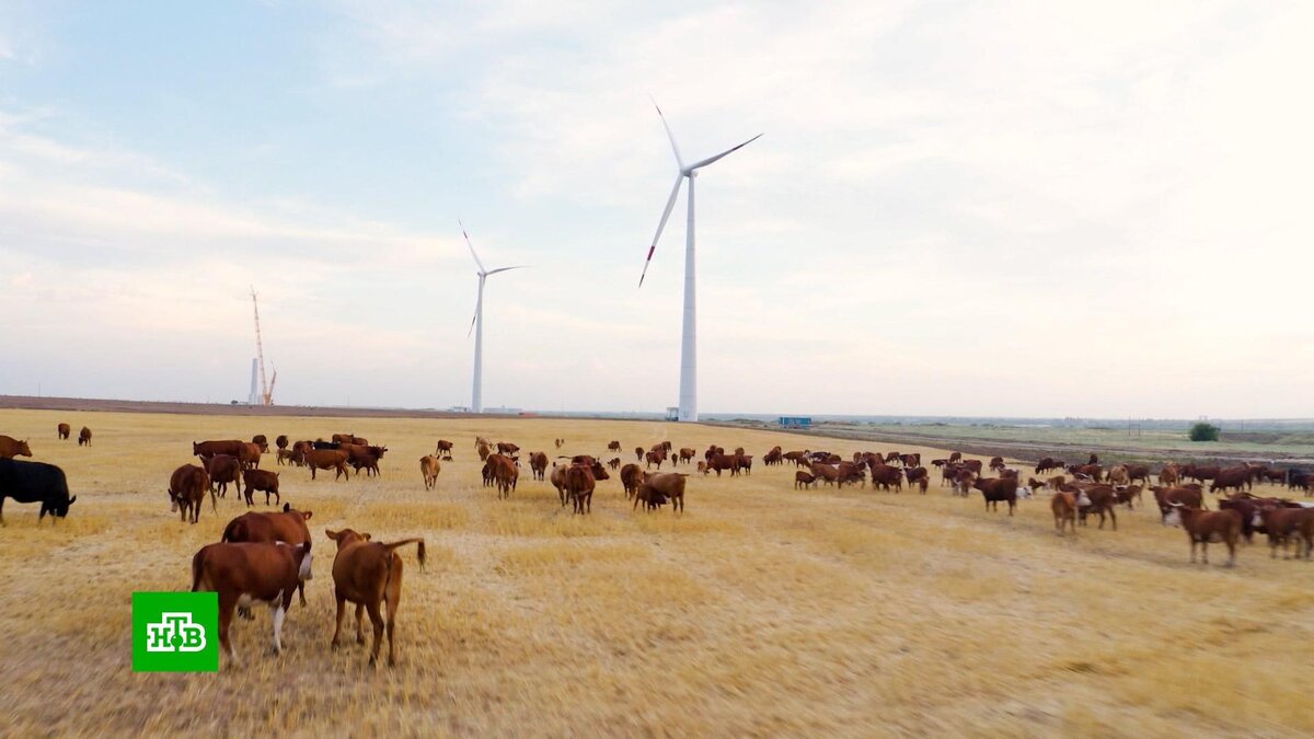    На смену «зеленой» повестке в Европе работают на угольных шахтах и продлевают службу АЭС