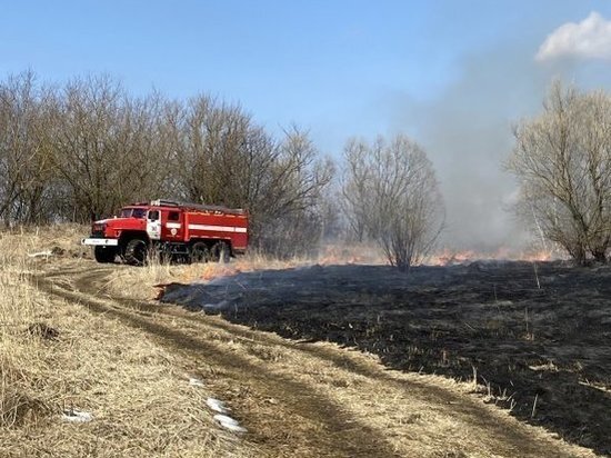     Фото: Противопожарная служба Курской области