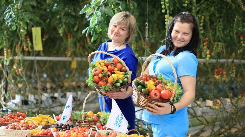    Предприятие АПХ «Эко-культура» ©Константин Семенец Пресс-служба Губернатора и Правительства Московской области