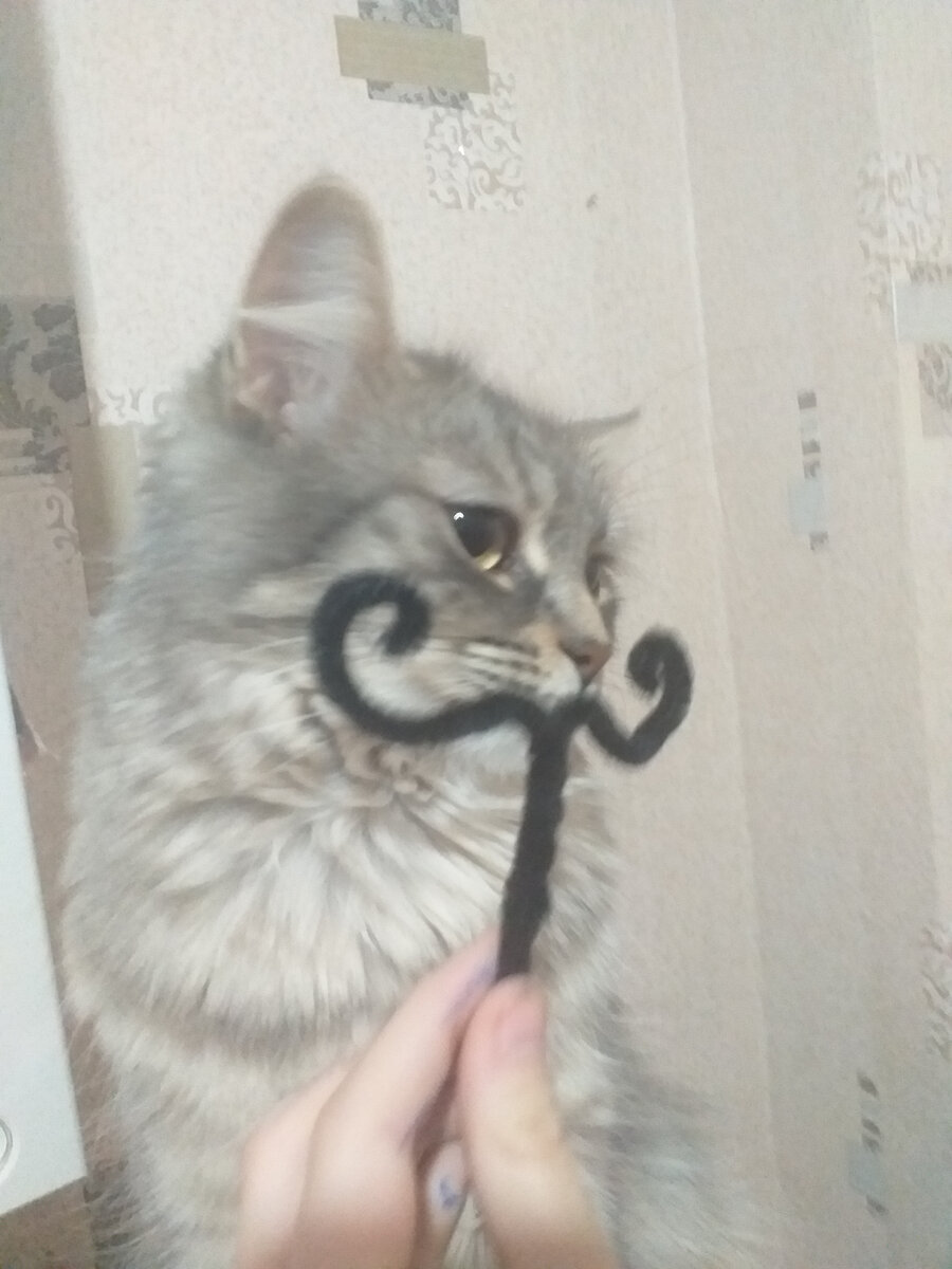 Из личного архива красота))