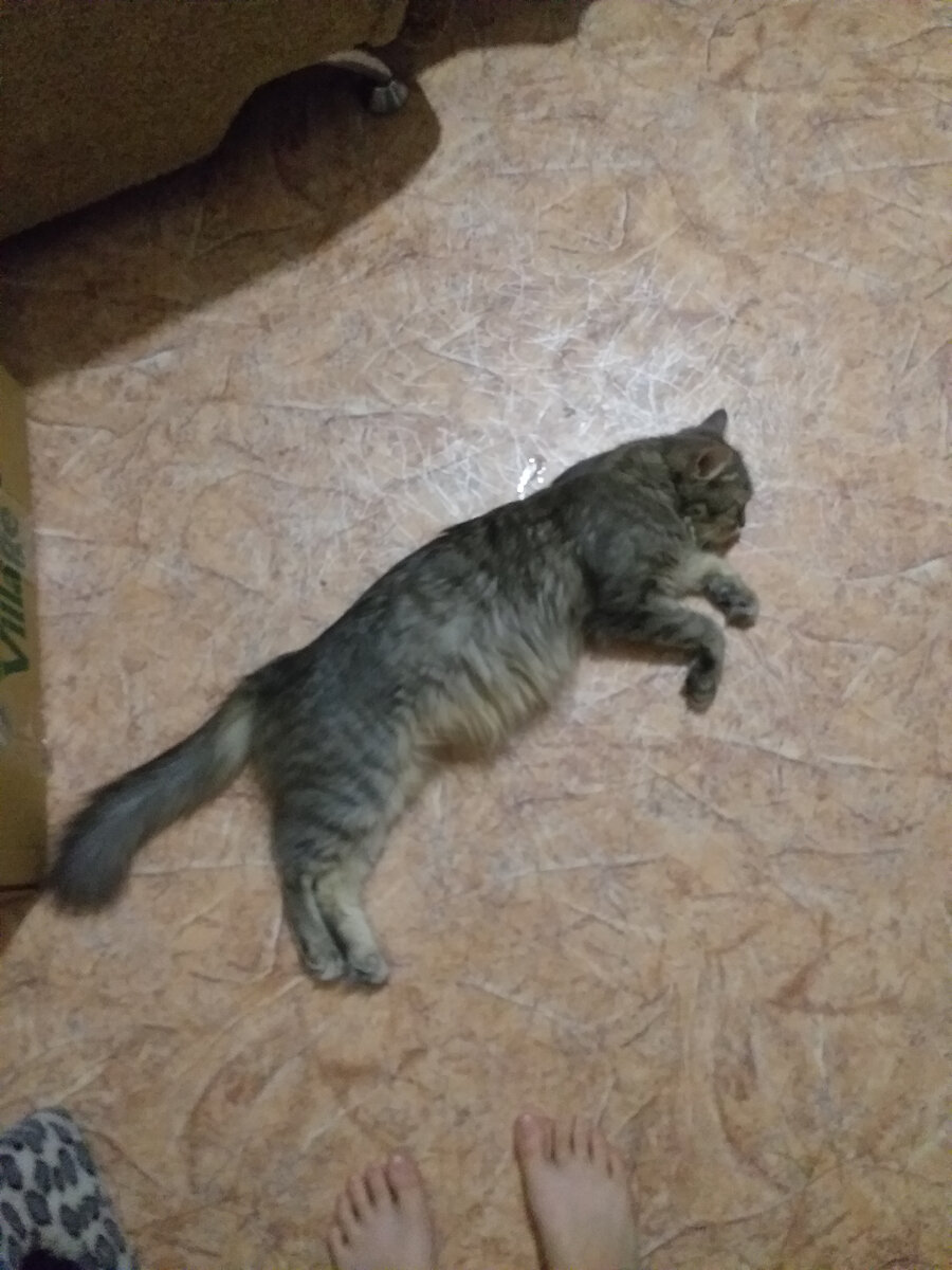 Из личного архива