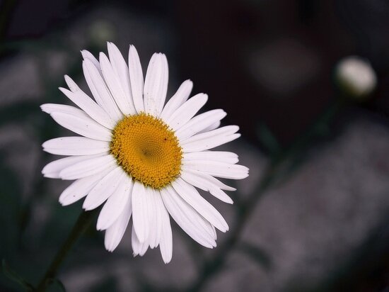     ФОТО: PXHERE.COM