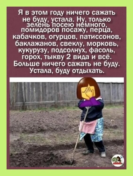 Ничего сажать не буду в этом году