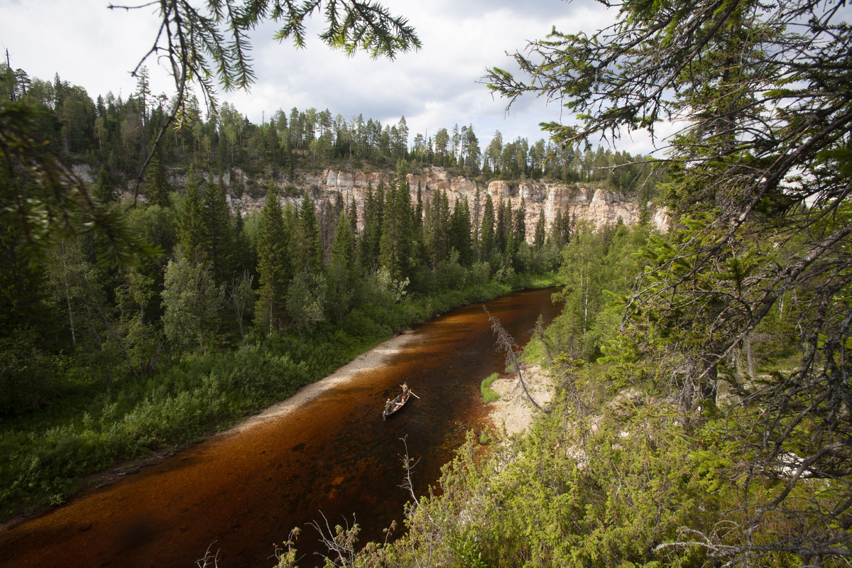 Заповедная река Сотка. Фото: Владимир Горбатовский