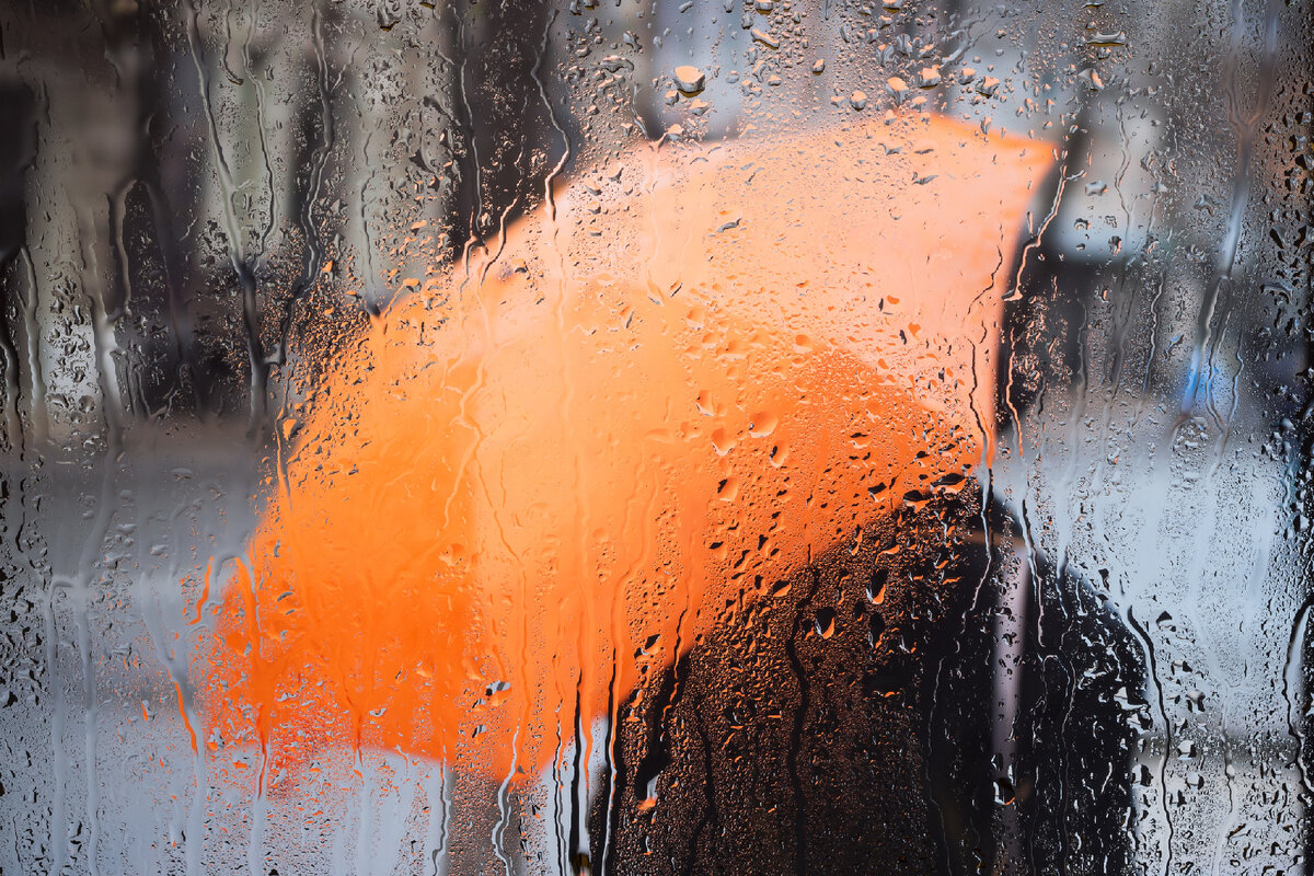   istockphoto/Germanovich