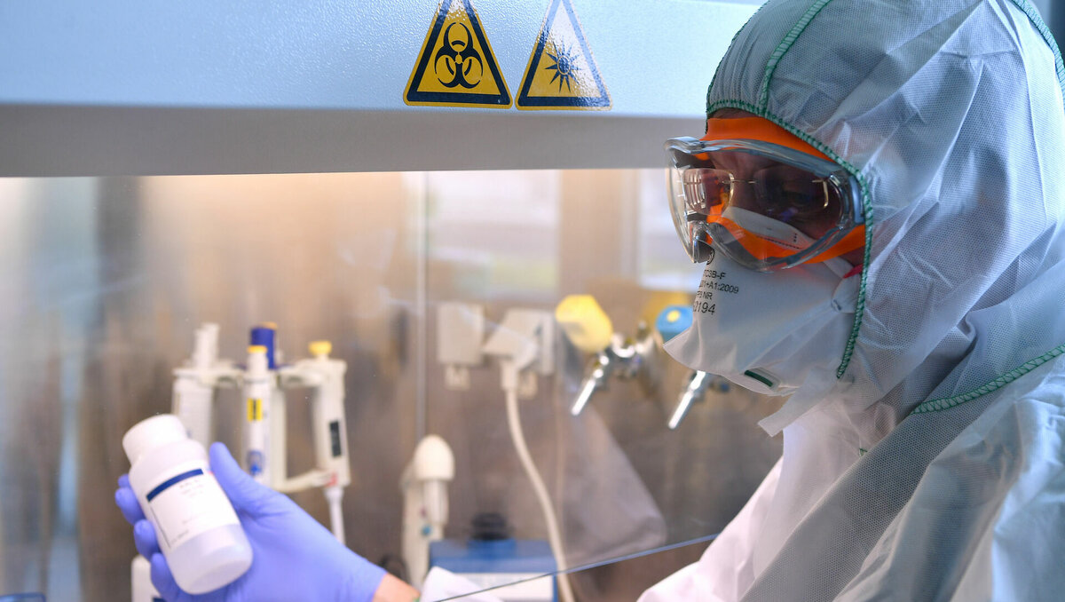     В России за последнее появились пациенты с подозрением на сибирскую язву. Что это за болезнь, какие у нее симптомы и чем она опасна, в материале RostovGazeta.