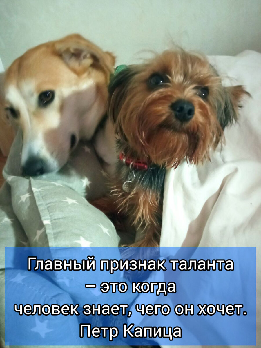 Мишель и Ючи