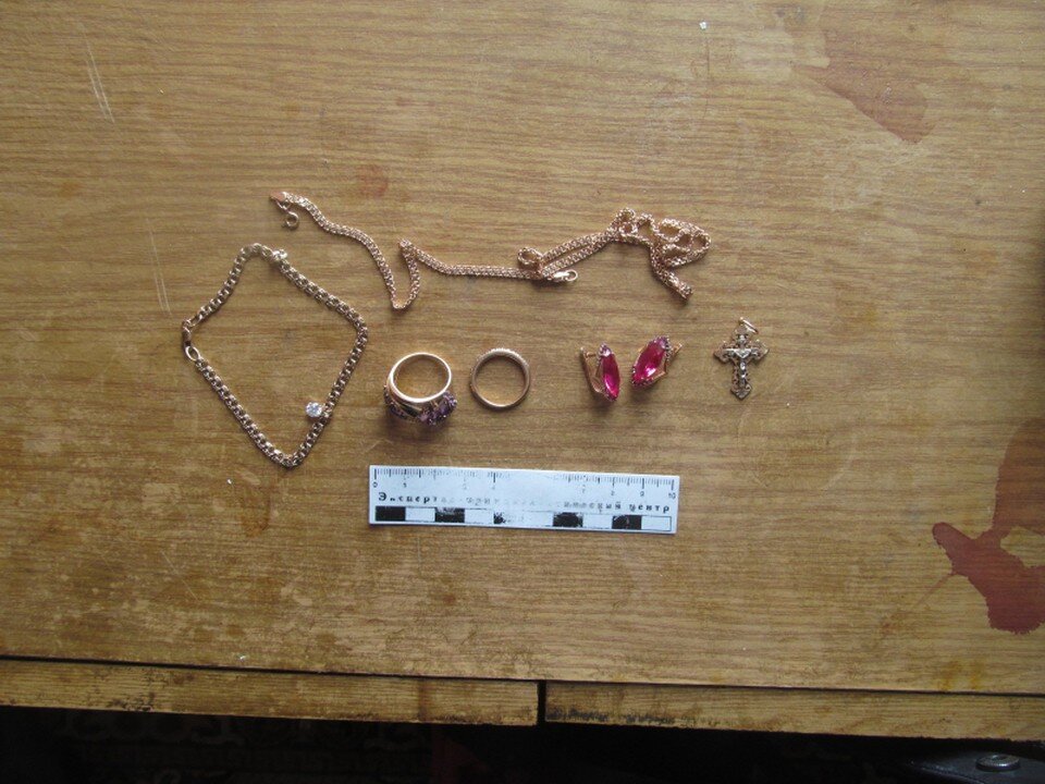     Фото: пресс-служба МВД по Коми