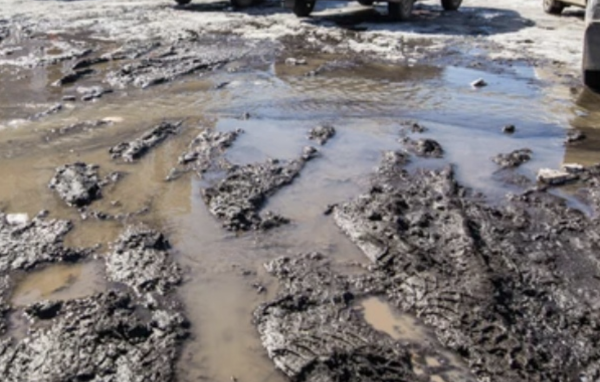 Фото: Царьград