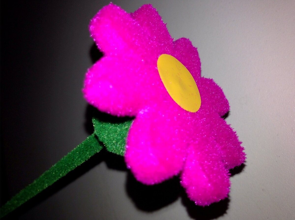 Флок крупным планом