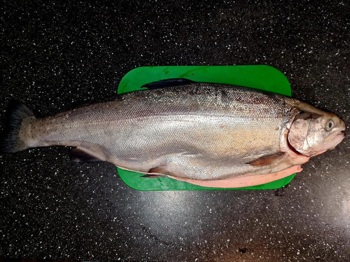 Почему выгоднее покупать форельлосось целиком🐟 | Кавказский ресторанный  патруль | Дзен