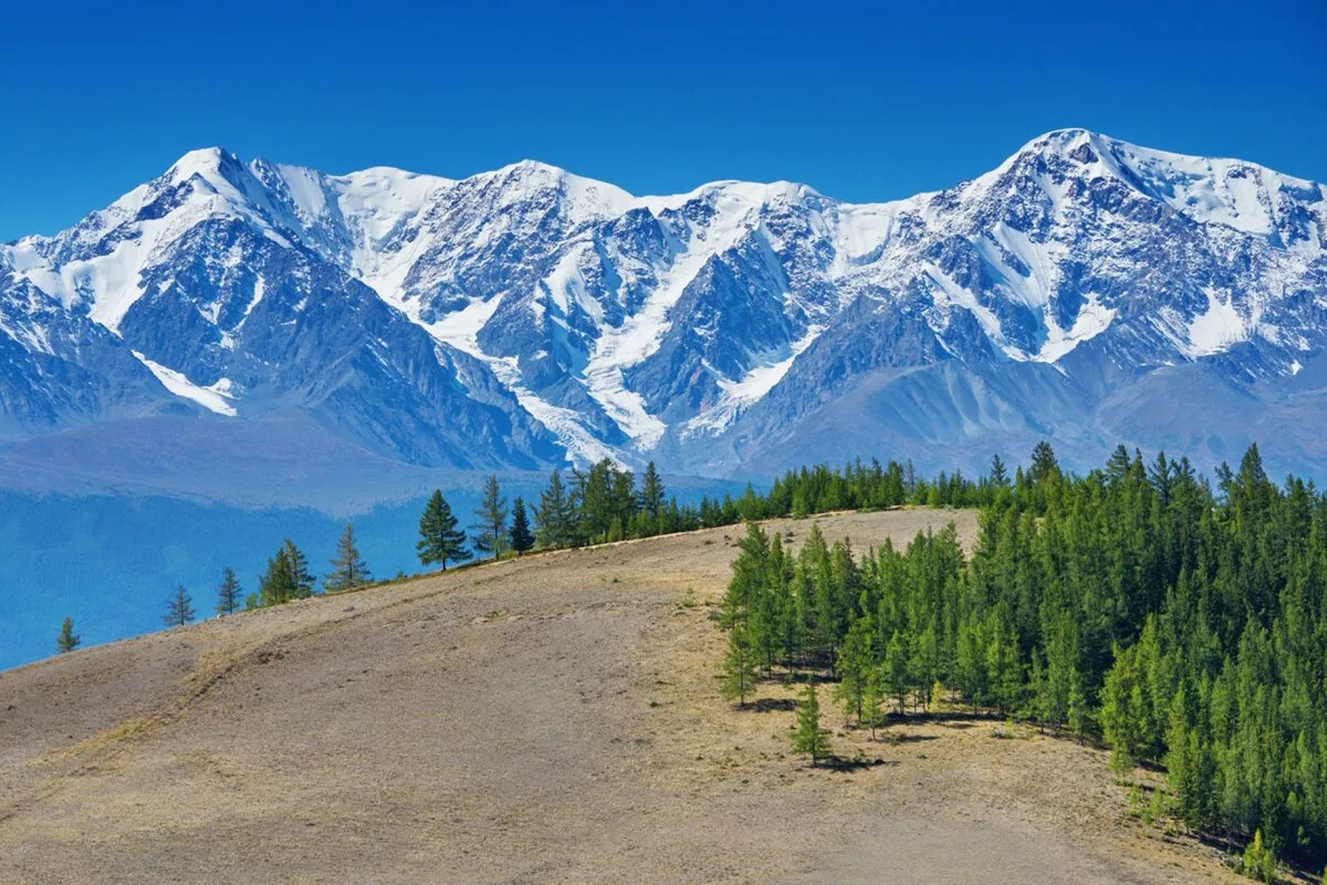 Алтайский край. Город Белуха Алтайского края. Белокуриха гора Белуха. Гора Биданка горный Алтай. Алтайский край золотые горы.