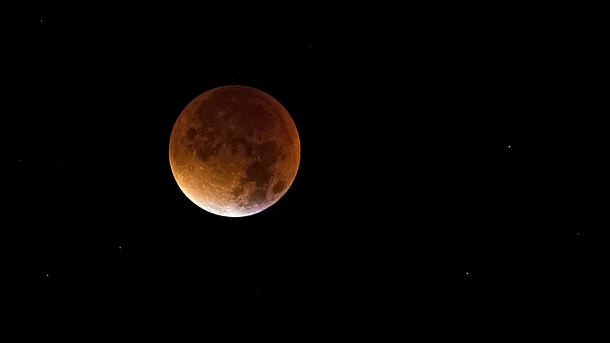 Пьем чудотворную лунную воду: 3 важных дела, которые нужно сделать в  Розовое Полнолуние 6 апреля 2023 года – 3 способа приготовить жидкость |  Весь Искитим | Дзен